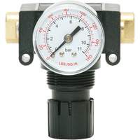 MODULAIR 200 Acetal Piston Regulator, 1/4" NPT, 150 PSI Max. PSI, In Line/Modular Stor-it Systems