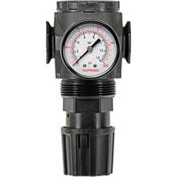 MODULAIR 300 Zinc Diaphragm Regulator, 3/8" NPT, 300 psi Max. PSI, In Line/Modular Stor-it Systems