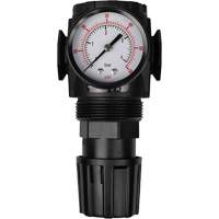MODULAIR 300 Compressed Air Regulator, 1/2" NPT, 300 psi Max. PSI, In Line/Modular Stor-it Systems