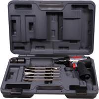 Heavy-Duty Air Hammer with Chisels, 16.2 CFM, 1/4" NPT, 3330 BPM, 3/4" x 2-1/2" (0.0mm x 0.0mm) Stor-it Systems