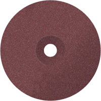 ALLSTEEL Coolcut Sanding Disc, Aluminum Oxide, 24, 7" Dia x 7/8" Arbor Stor-it Systems