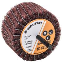 Meule &agrave; lamelles abrasives Two-In-One Stor-it Systems