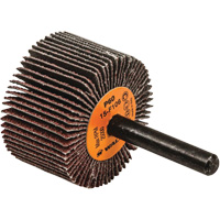 Disques &agrave; lamelles - Meules &agrave; lamelles Coolcut, Oxyde d'aluminium, Grain 60, 1-1/2" x 1" x 1/4" Stor-it Systems