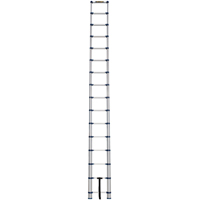 Telescopic Ladder, 3' - 15.5', Aluminum, 250 lbs. Capacity, Type 1 VC252 | Stor-it Systems