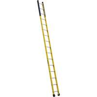 Single Manhole Ladder, 16', Fibreglass, 375 lbs., CSA Grade 1AA VD464 | Stor-it Systems