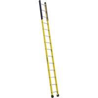 Single Manhole Ladder, 14', Fibreglass, 375 lbs., CSA Grade 1AA VD465 | Stor-it Systems