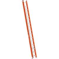 BuildMan&reg; Extension Ladder, 300 lbs. Cap., 32' H, Grade 1A Stor-it Systems