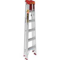 Step Ladder with Paint Tray, 6', Aluminum, 200 lbs. Capacity, Type 3 Stor-it Systems