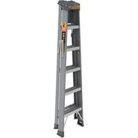 Step Ladder with Paint Tray, 6', Fibreglass, 225 lbs. Capacity, Type 2 Stor-it Systems