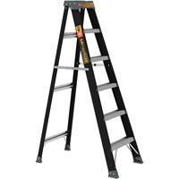Step Ladder, 6', Fibreglass, 250 lbs. Capacity, Type 1 Stor-it Systems