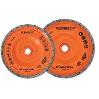 Blendex U Finishing Cup Disc, 4-1/2" Dia., Fine Grit, Silicon Carbide Stor-it Systems