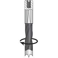 Foret &agrave; percer, Carbure Stor-it Systems