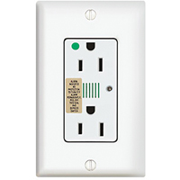 Surge Protector Outlets