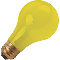 LAMPE INCANDESCENTE,BUG-LITE,60W,120V,2/PQT Stor-it Systems