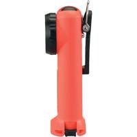 Lampe de poche Survivor, DEL, 175 lumens, Piles Rechargeable Stor-it Systems