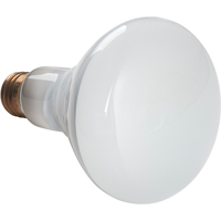 Lampes &agrave; incandescence &eacute;conomiques Stor-it Systems