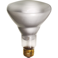 Lampes &agrave; incandescence &eacute;conomiques Stor-it Systems