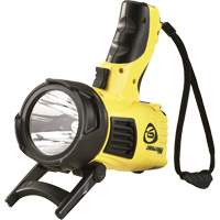 Waypoint&reg; Pistol Grip Spotlights, LED, 550 Lumens, C Batteries Stor-it Systems