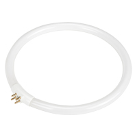 Ampoule fluorescente de rechange pour lampes-loupes Rhinomag, 22 W Stor-it Systems