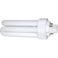 Hazardous Location Work Lights- Compact Fluorescent Hand Lamps XD061 | Stor-it Systems