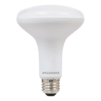 Ampoule DEL s&eacute;rie Contractor, BR30, 9 W, 650 lumens, base Moyen Stor-it Systems