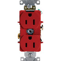 Industrial Grade Duplex Outlet XH436 | Stor-it Systems