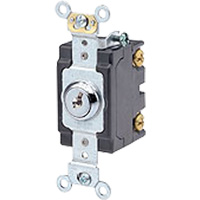 Heavy-Duty Key Locking Switch Stor-it Systems
