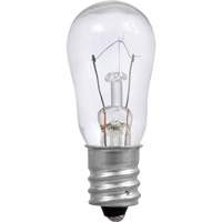 Ampoule incandescente S6 Stor-it Systems