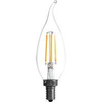 LED Bulb, B10, 5 W, 500 Lumens, Candelabra Base XH863 | Stor-it Systems