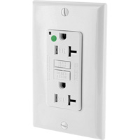 SmartlockPro&reg; Extra Heavy-Duty Self-Test GFCI Receptacle Stor-it Systems
