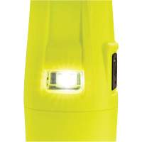 Lampe de poche VLO, DEL, 280 lumens, Piles AA Stor-it Systems