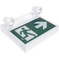 Running Man Sign with Security Lights, LED, Battery Operated/Hardwired, 12-1/10" L x 11" W, Pictogram XI790 | Stor-it Systems