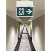 Running Man Sign with Security Lights, LED, Battery Operated/Hardwired, 12-1/10" L x 11" W, Pictogram Stor-it Systems