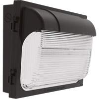 TWX Wall Luminaire, LED, 480 V, 9 W - 54 W, 14" H x 18" W x 5" D XI974 | Stor-it Systems