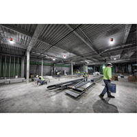 RADIUS Temporary Site Light, LED, 130 W, 15000 Lumens Stor-it Systems