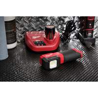 M12™ Paint and Detailing Color Match Light, LED, 1000 Lumens XJ023 | Stor-it Systems