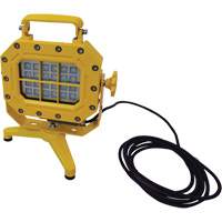 Explosion Proof Floodlight with Stand, LED, 40 W, 5600 Lumens, Aluminum Housing XJ040 | Stor-it Systems