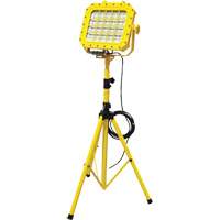 Explosion Proof Floodlight with Tripod, LED, 40 W, 5600 Lumens, Aluminum Housing XJ044 | Stor-it Systems