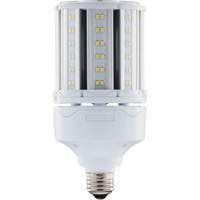 Ampoule HID de remplacement s&eacute;lectionnable ULTRA LED, E26, 18 W, 2700 lumens Stor-it Systems