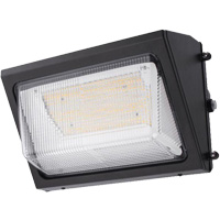 Wall Pack Light Fixture, LED, 120 -347 V, 80 W Stor-it Systems