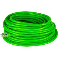 Industrial Extension Cord, All-Weather, SJTW, 10/3 AWG, 15 A, 50' Stor-it Systems