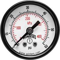 Economy Pressure Gauge, 1-1/2" , 0 - 60 psi, Back Mount, Analogue YB862 | Stor-it Systems