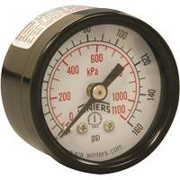 Economy Pressure Gauge, 1-1/2" , 0 - 160 psi, Back Mount, Analogue YB873 | Stor-it Systems
